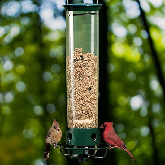 SquirrelGuard™ Squirrel-Proof Bird Feeder for Bird Lovers – Enjoy Squirrel-Free Feeding 0