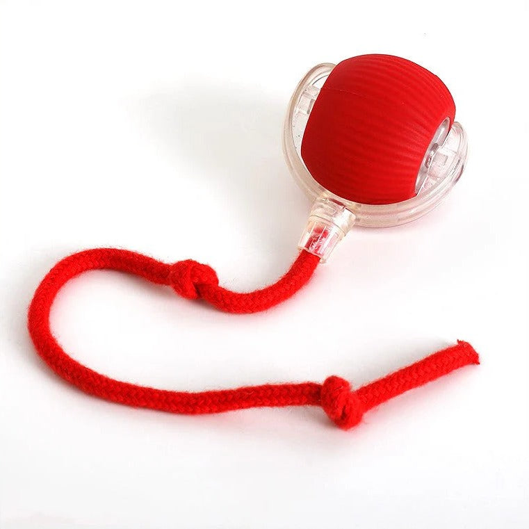 ActivePaws™ Interactive Rolling Ball Dog Toy for Fun and Exercise