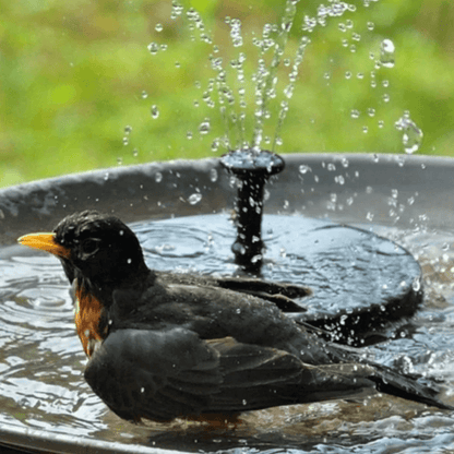 EcoFlow™ Solar Bird Bath Fountain for Beautiful Outdoor Spaces