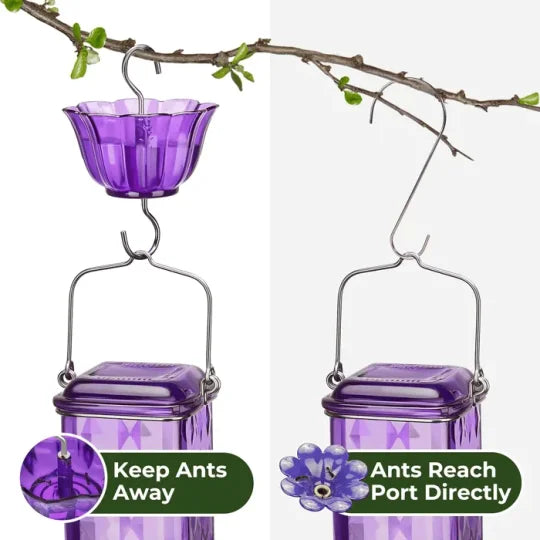 Hummingbird Haven™ 24oz Glass Feeder for Bird Lovers – Best Hummingbird Feeder - 5