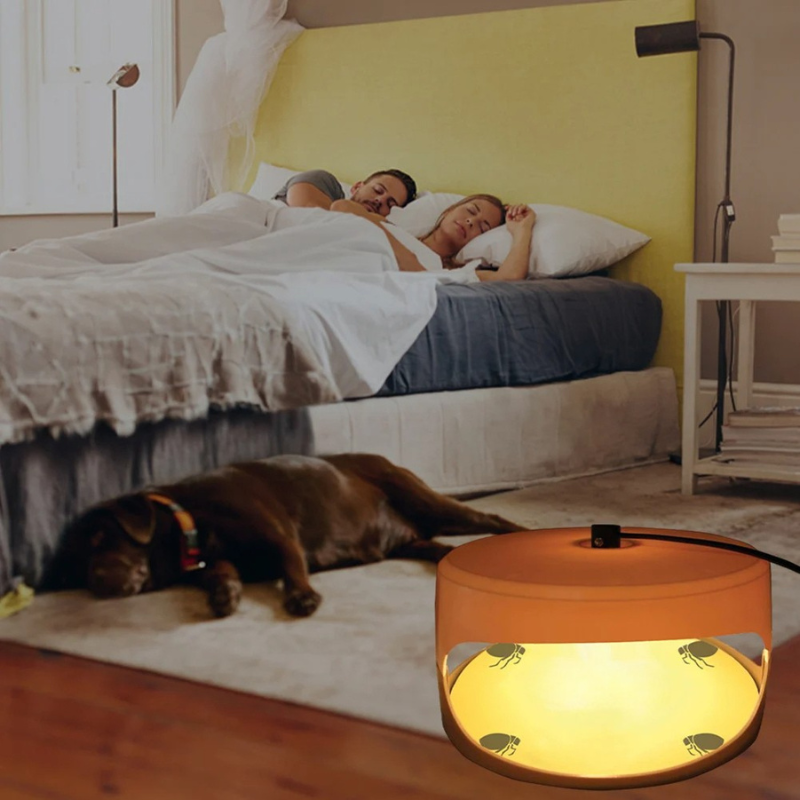 SafeGuard™ Indoor Bed Bug Trap – Effective Bed Bug Monitor for Home Use - 2