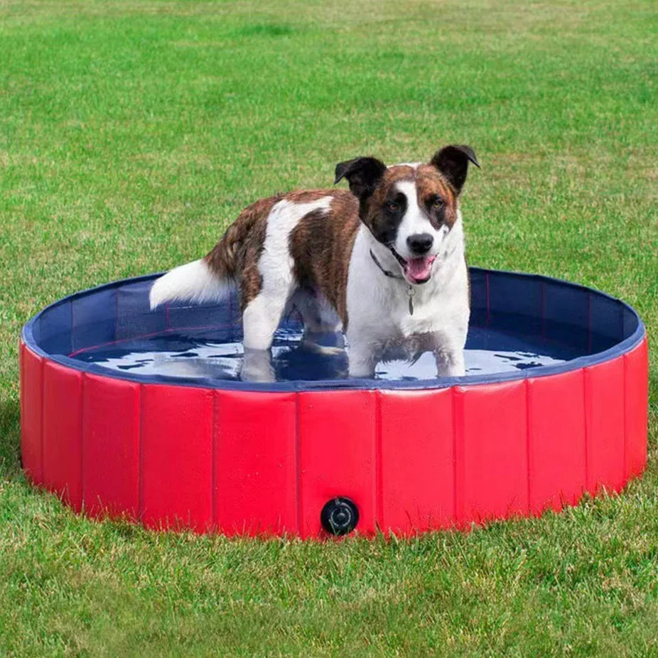 PawSplash™ Foldable Dog Pool - Perfect Pet Swimming Pool for Summer Fun