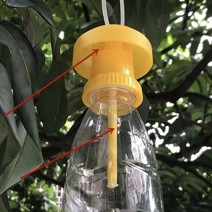 EcoCatch™ Fruit Fly Trap - Best Solution to Get Rid of Fruit Flies Indoors & Outdoors