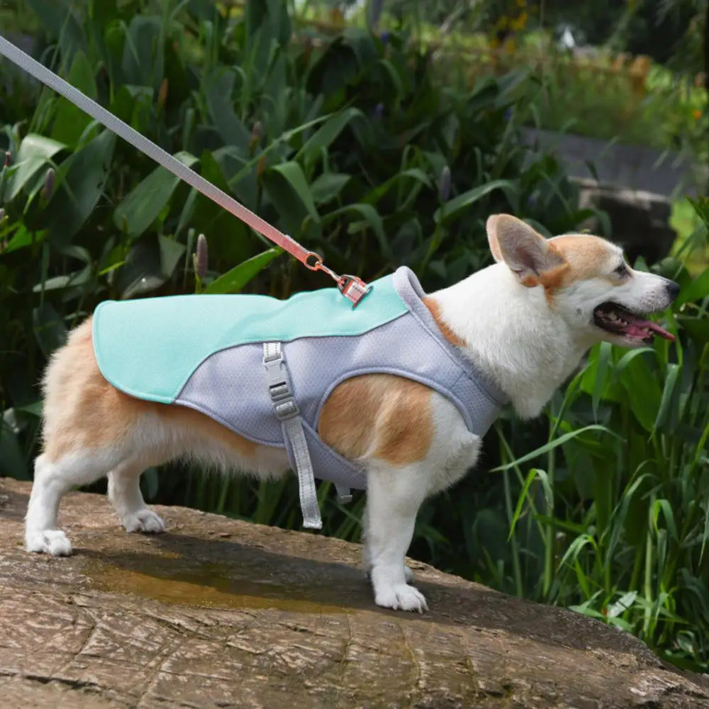CoolPaws™ Dog Cooling Vest for Medium to Large Dogs - Stay Cool in Hot Weather 2