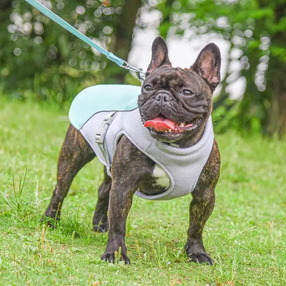 CoolPaws™ Dog Cooling Vest for Medium to Large Dogs - Stay Cool in Hot Weather 4