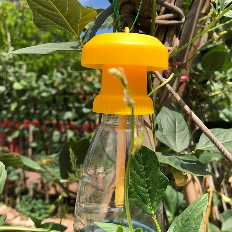 EcoCatch™ Fruit Fly Trap - Best Solution to Get Rid of Fruit Flies Indoors & Outdoors