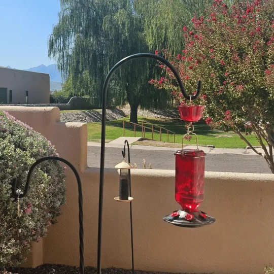 Hummingbird Haven™ 24oz Glass Feeder for Bird Lovers – Best Hummingbird Feeder - 2