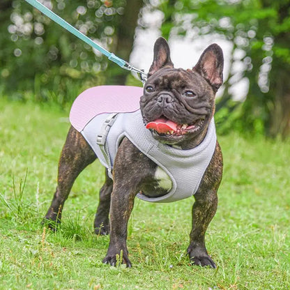 CoolPaws™ Dog Cooling Vest for Medium to Large Dogs - Stay Cool in Hot Weather 3