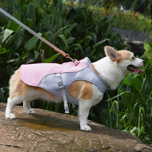 CoolPaws™ Dog Cooling Vest for Medium to Large Dogs - Stay Cool in Hot Weather 1