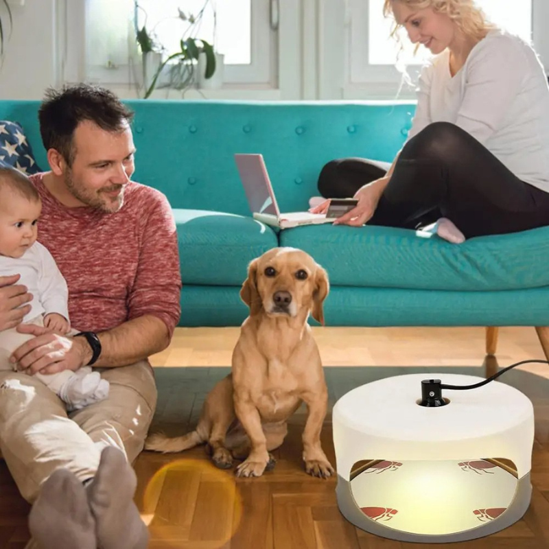 SafeGuard™ Indoor Bed Bug Trap – Effective Bed Bug Monitor for Home Use - 4