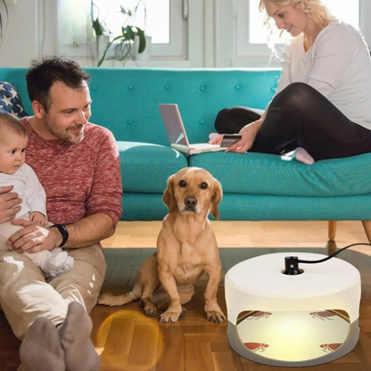 SafeGuard™ Indoor Bed Bug Trap – Effective Bed Bug Monitor for Home Use - 4