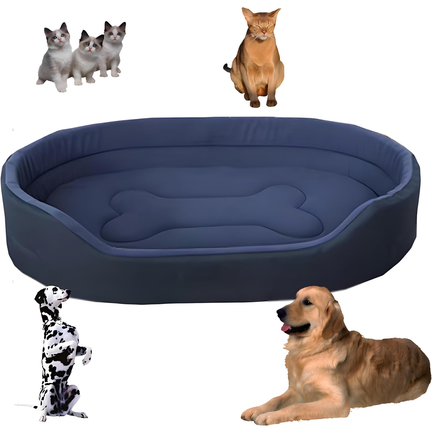 EcoComfort™ Dog Bed - Ultimate Comfort Sanctuary for Your Furry Friend - 8
