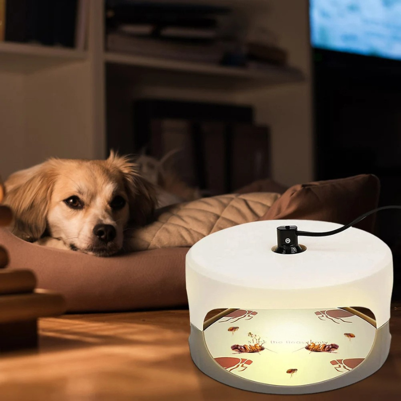 SafeGuard™ Indoor Bed Bug Trap – Effective Bed Bug Monitor for Home Use - 5