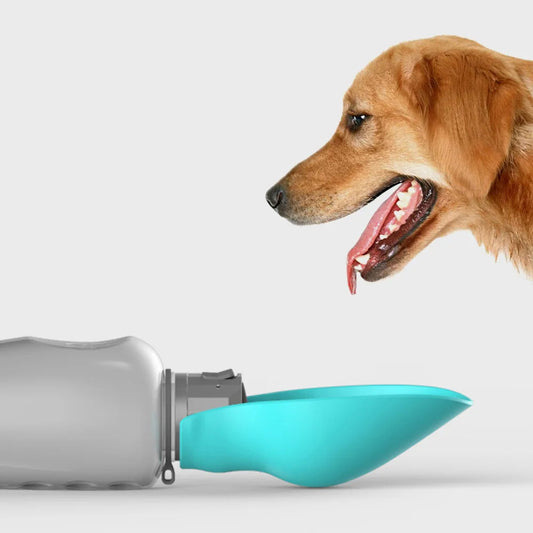 HydraPaw™ Portable Dog Water Bottle Dispenser for Travel and Outdoor Adventures 1