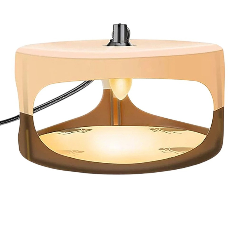 SafeGuard™ Indoor Bed Bug Trap – Effective Bed Bug Monitor for Home Use - 6