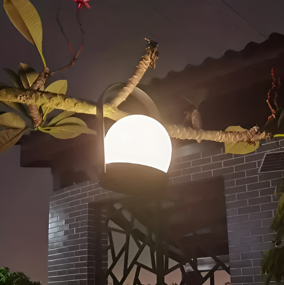 BeamBall™ Cordless Table Lamp – Stylish Battery Operated Lighting for Any Space 2