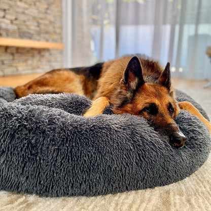 CozyPaws™ Calming Dog Bed – Ultimate Comfort for All Dogs 0