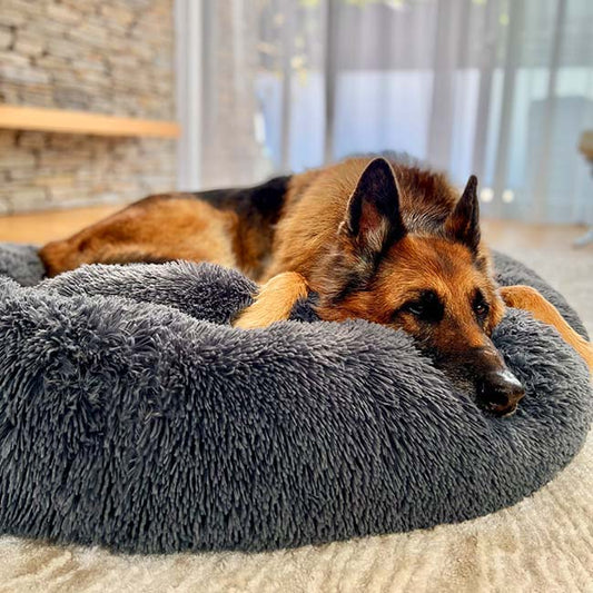 CozyPaws™ Calming Dog Bed – Ultimate Comfort for All Dogs 0