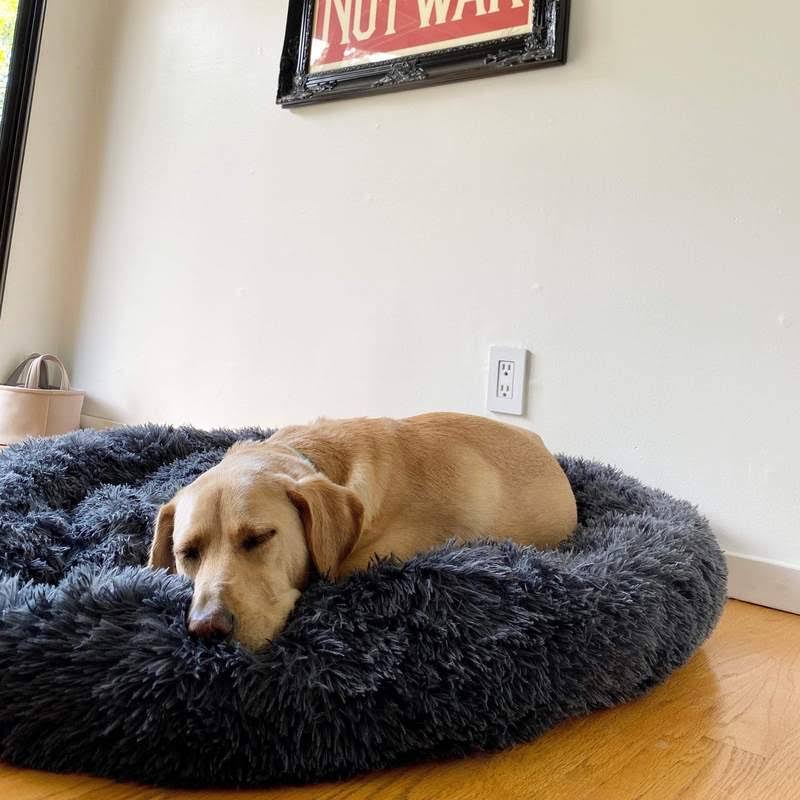 CozyPaws™ Calming Dog Bed – Ultimate Comfort for All Dogs 10