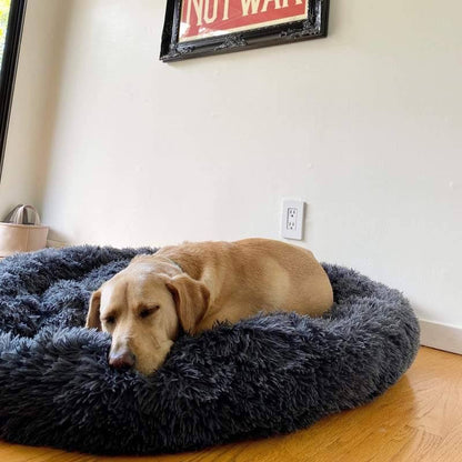 CozyPaws™ Calming Dog Bed – Ultimate Comfort for All Dogs 10