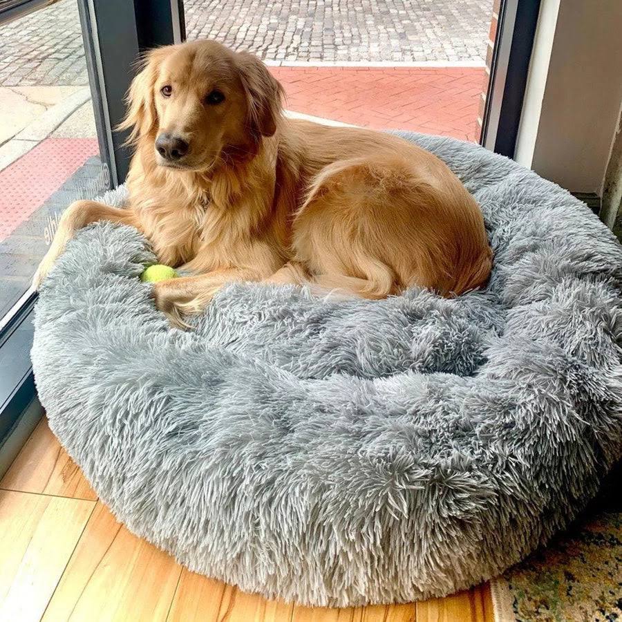CozyPaws™ Calming Dog Bed – Ultimate Comfort for All Dogs 11