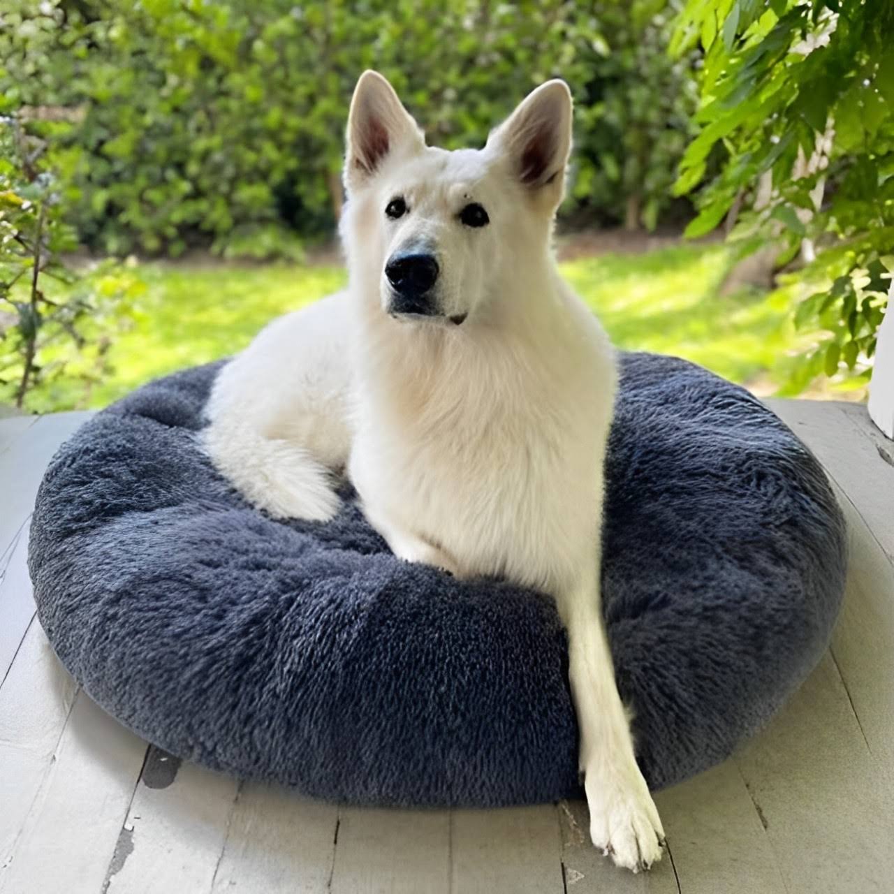 CozyPaws™ Calming Dog Bed – Ultimate Comfort for All Dogs 12
