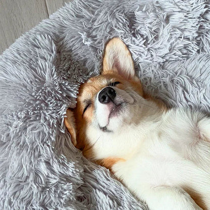CozyPaws™ Calming Dog Bed – Ultimate Comfort for All Dogs 2