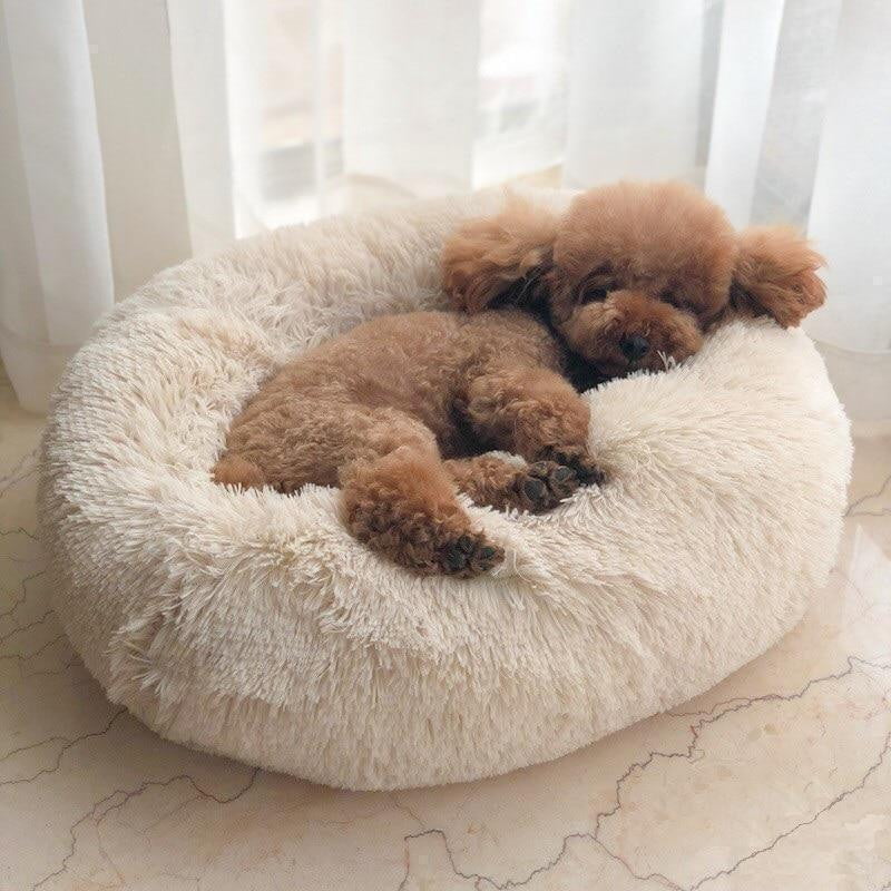 CozyPaws™ Calming Dog Bed – Ultimate Comfort for All Dogs 3