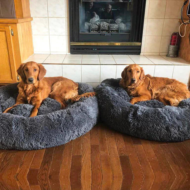 CozyPaws™ Calming Dog Bed – Ultimate Comfort for All Dogs 4