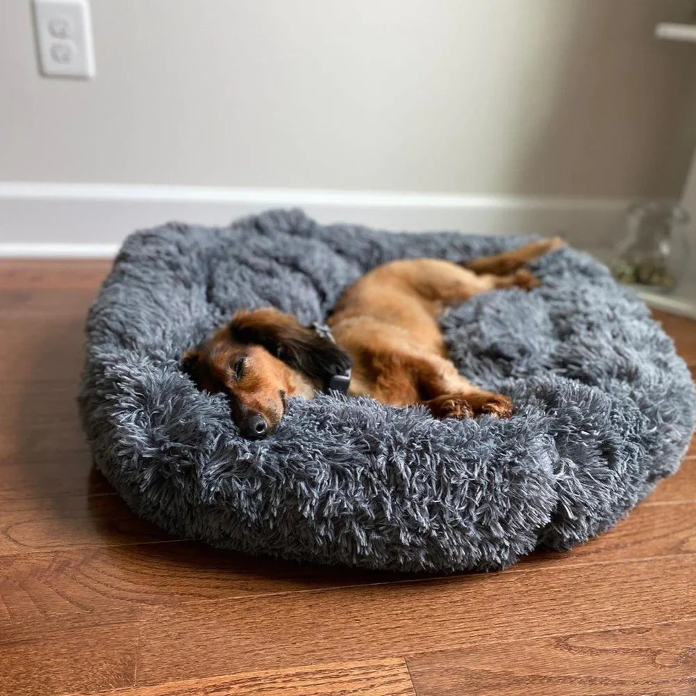 CozyPaws™ Calming Dog Bed – Ultimate Comfort for All Dogs 5