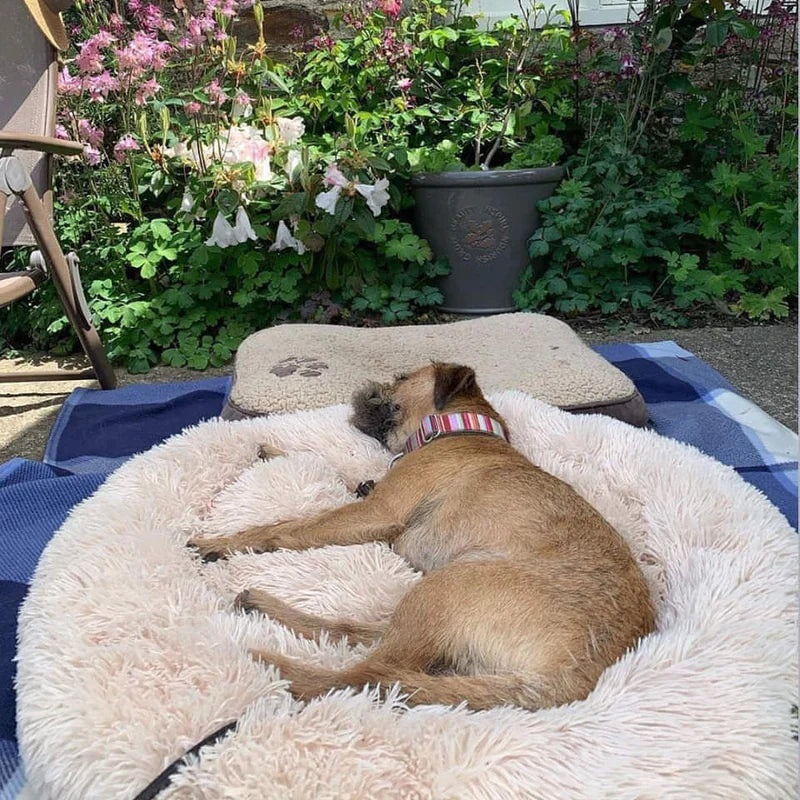 CozyPaws™ Calming Dog Bed – Ultimate Comfort for All Dogs 7