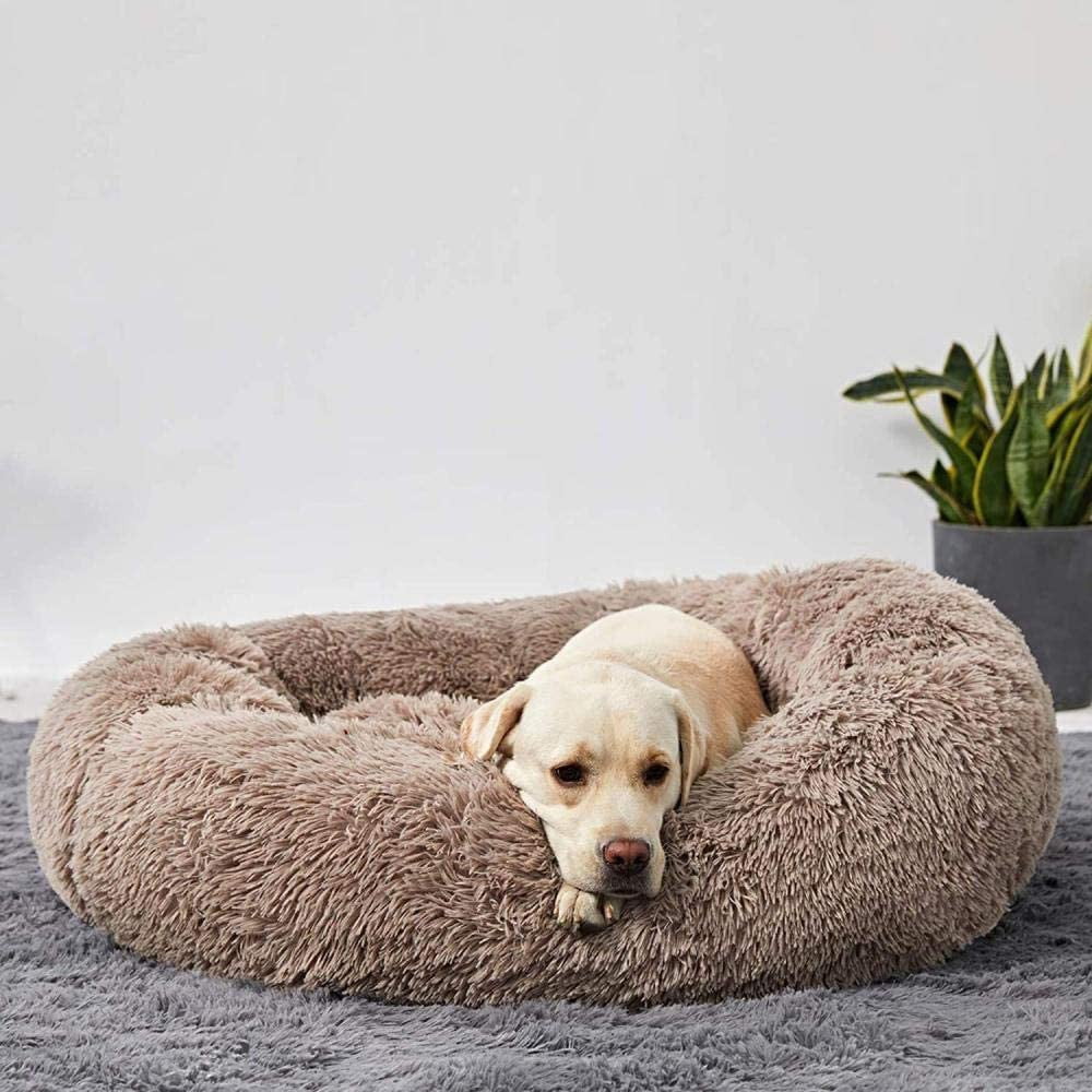 CozyPaws™ Calming Dog Bed – Ultimate Comfort for All Dogs 8