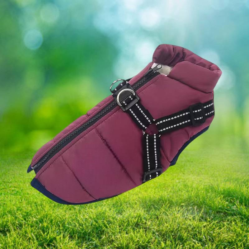 CozyPaws™ Waterproof Dog Jacket - Ultimate Winter Coat for All Breeds 3