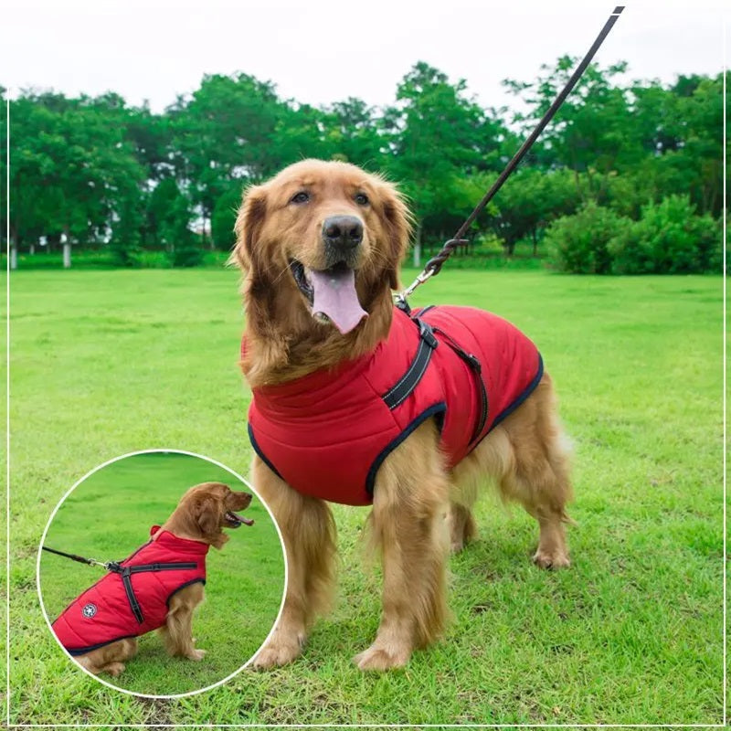 CozyPaws™ Waterproof Dog Jacket - Ultimate Winter Coat for All Breeds 5