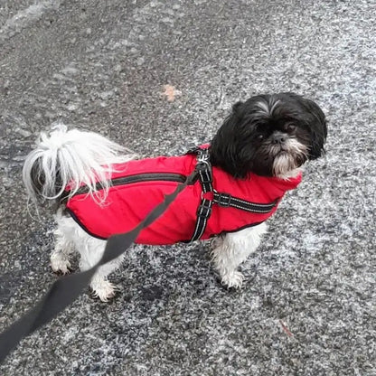 CozyPaws™ Waterproof Dog Jacket - Ultimate Winter Coat for All Breeds 7