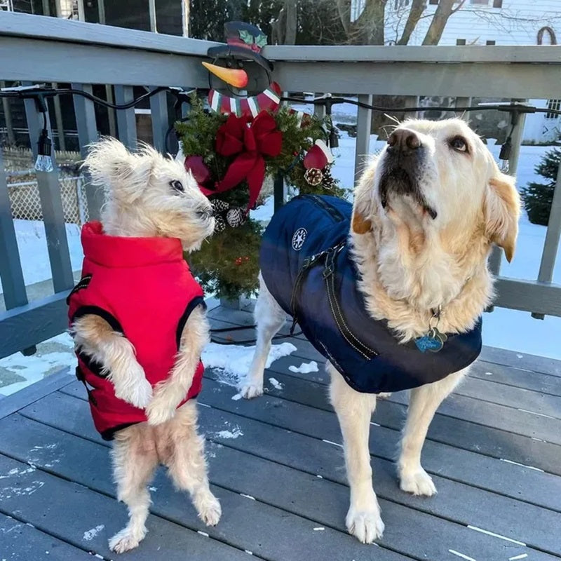 CozyPaws™ Waterproof Dog Jacket - Ultimate Winter Coat for All Breeds 8