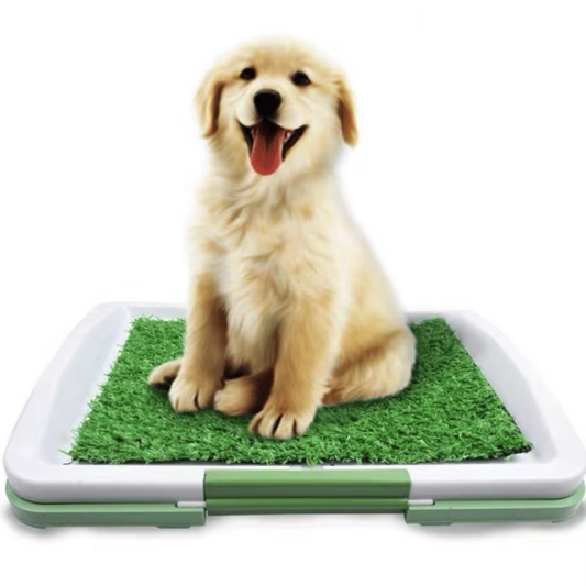 PawPerfect™ Indoor Dog Potty System for Easy Potty Training and House Training a Puppy - 1