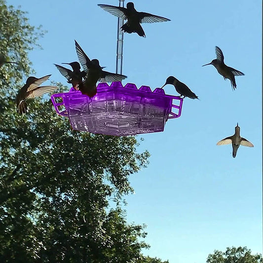 Mary's Feeders™ Ant Proof Hummingbird Feeder - Attract More Birds with Nectar 0