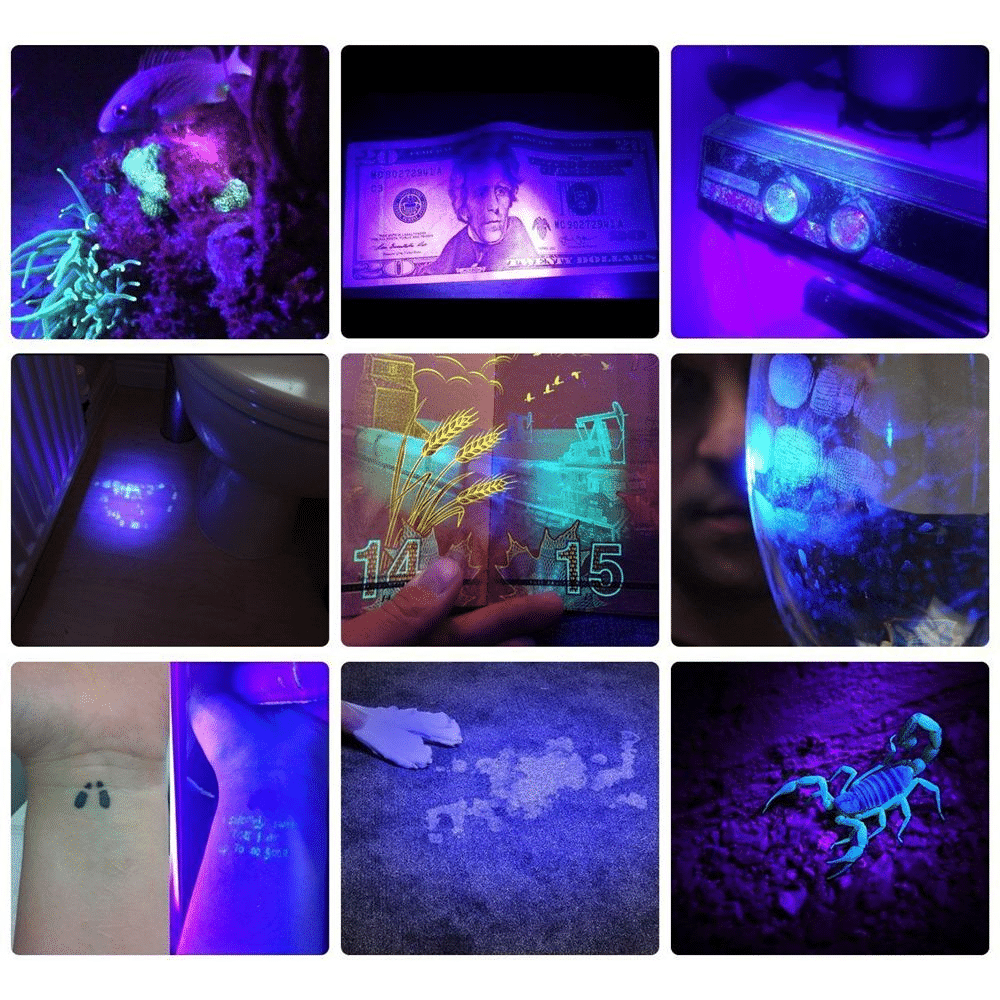 UVPro™ Pocket UV Lamp for Stain Detection and Document Verification 6