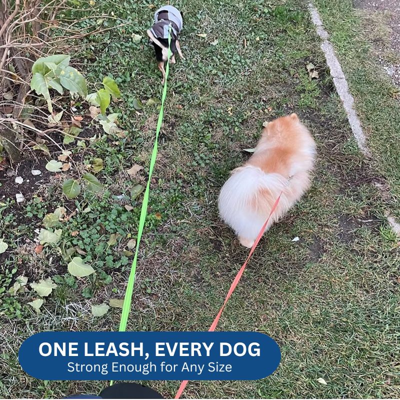 PawsControl™ Dual Retractable Dog Leash for Two Dogs with Flashlight 7