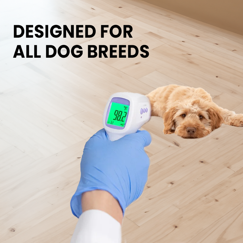 PawsSafe™ No-Contact Dog Thermometer - Digital Canine Thermometer for Quick Health Checks 1