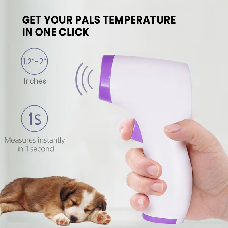 PawsSafe™ No-Contact Dog Thermometer - Digital Canine Thermometer for Quick Health Checks 2
