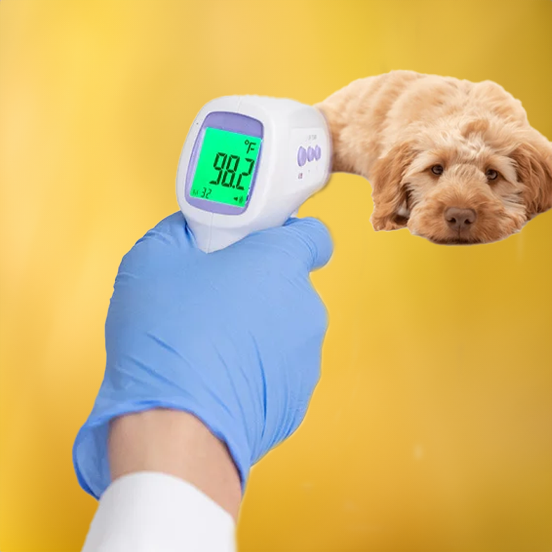 PawsSafe™ No-Contact Dog Thermometer - Digital Canine Thermometer for Quick Health Checks 7