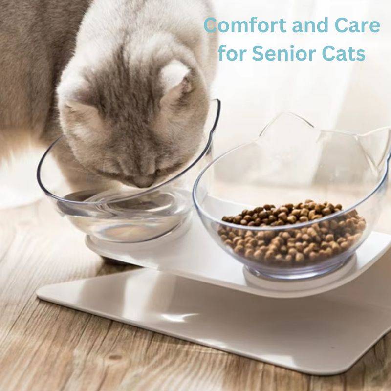 PurrfectFeeder™ Elevated Cat Bowl - Ergonomic Design for Happy, Healthy Cats 2