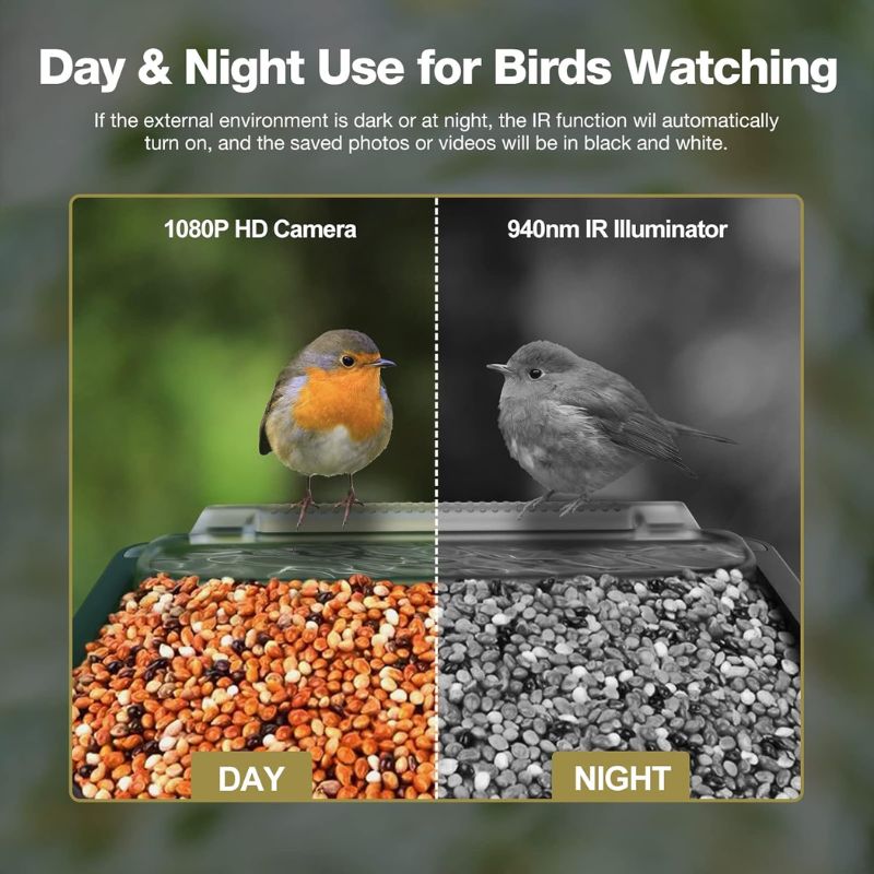 SmartBird™ Automatic Bird Feeder with Motion Detection for Bird Lovers 2