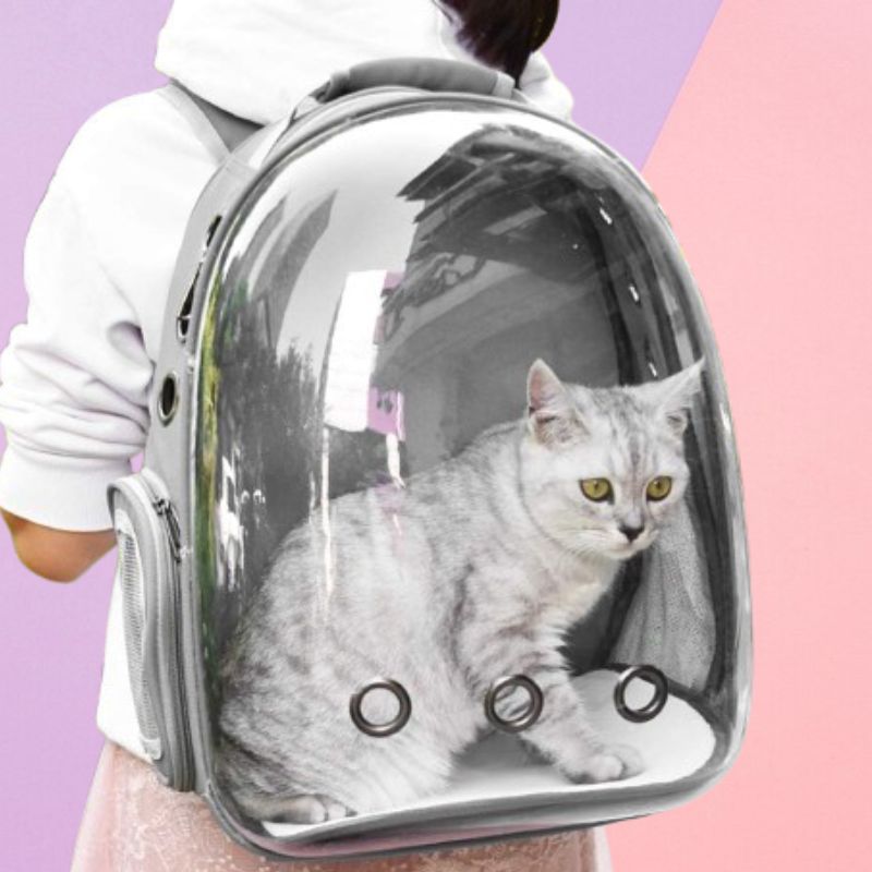 SpacePaws™ Breathable Cat And Dog Carrier – Airline Approved, Adventure-Ready Design 6