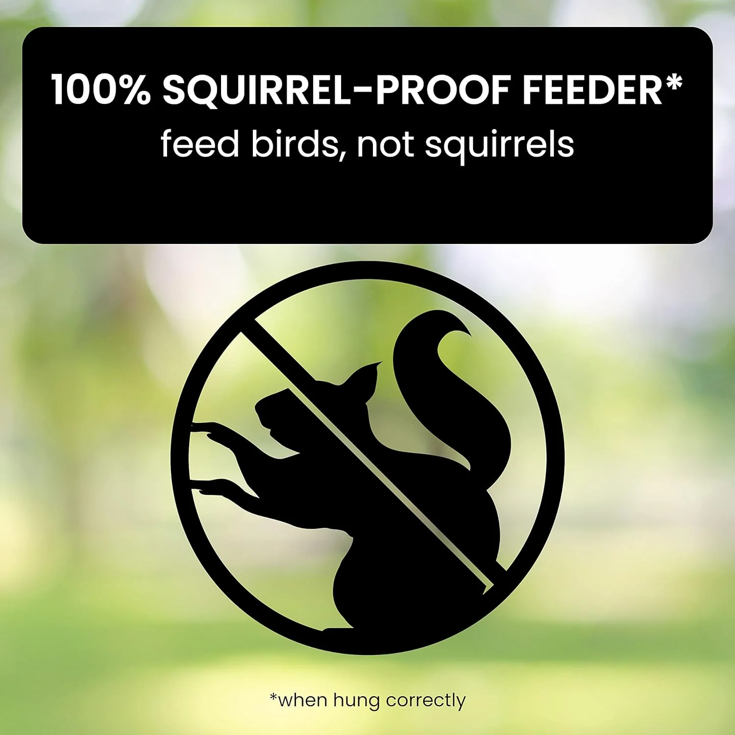 SquirrelGuard™ Squirrel-Proof Bird Feeder for Bird Lovers – Enjoy Squirrel-Free Feeding 1