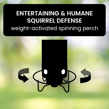 SquirrelGuard™ Squirrel-Proof Bird Feeder for Bird Lovers – Enjoy Squirrel-Free Feeding 3