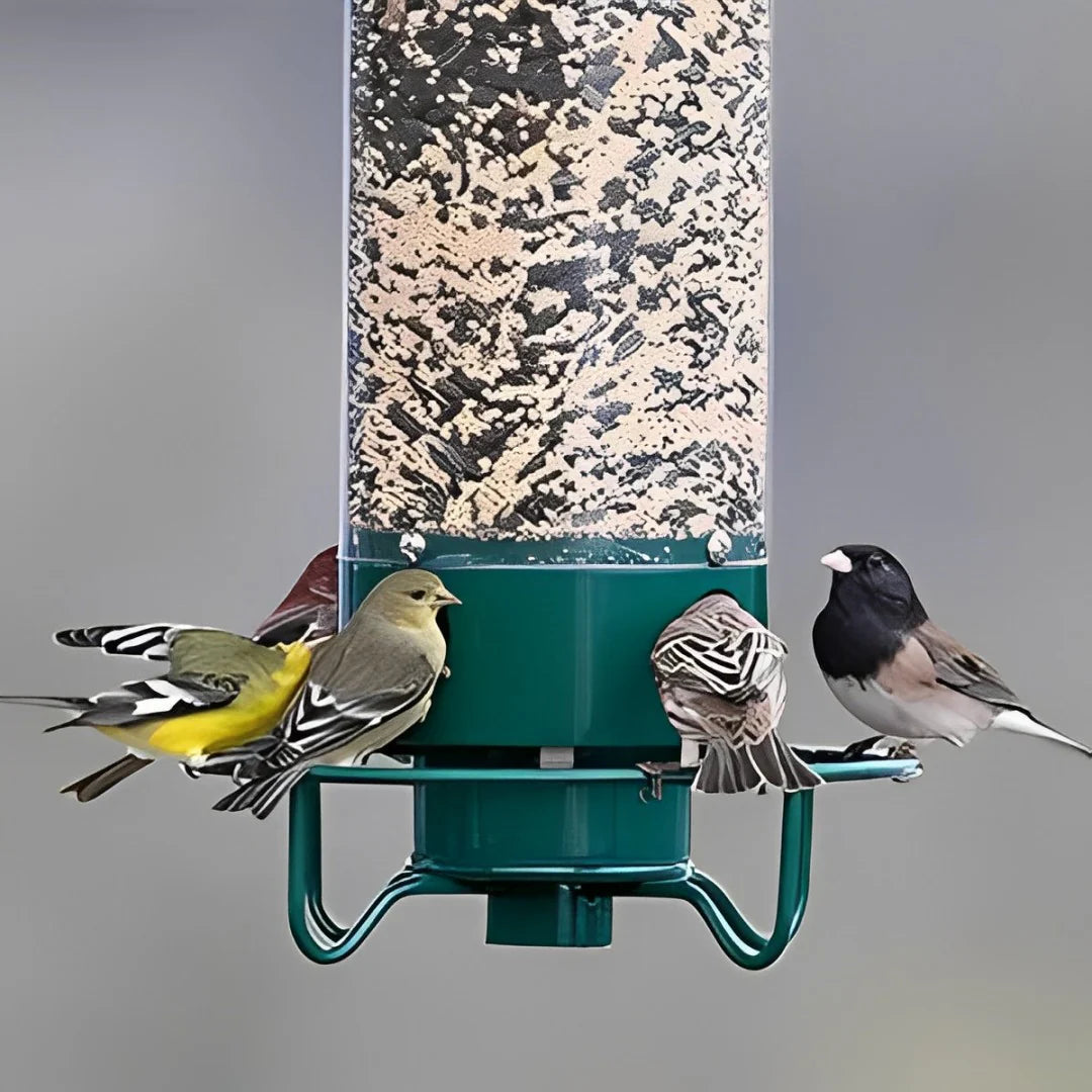 SquirrelGuard™ Squirrel-Proof Bird Feeder for Bird Lovers – Enjoy Squirrel-Free Feeding 4