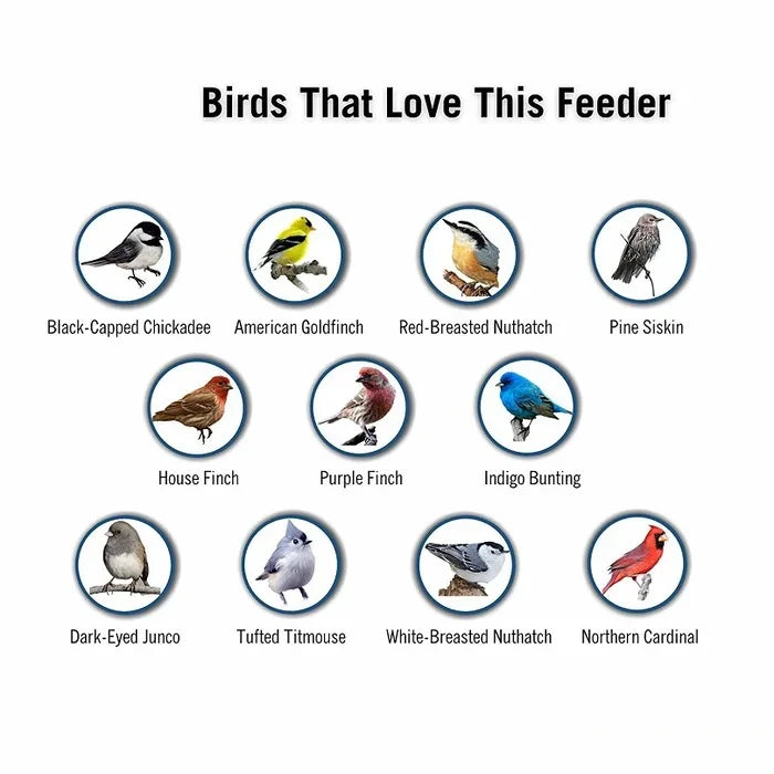 SquirrelGuard™ Squirrel-Proof Bird Feeder for Bird Lovers – Enjoy Squirrel-Free Feeding 5